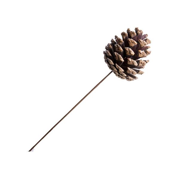 

10pcs dried pine cone flowers bouquets naturally pure bunches decorative & wreaths
