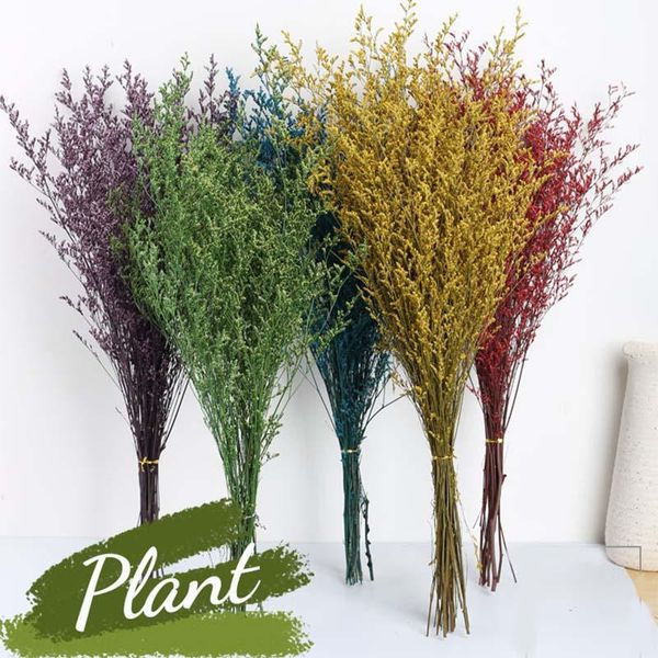 

multicolor preserved flower real fresh natural lover grass dried diy home decoration eternell floral for wedding gift lc decorative flowers