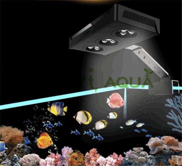 

aquariums lighting touch control small cylinder led light sea water lamp coral sunrise sunset full spectrum clamp aquarium supplies