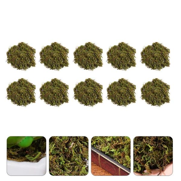 

decorative flowers & wreaths 10pcs dried moss natural for micro landscape vivid
