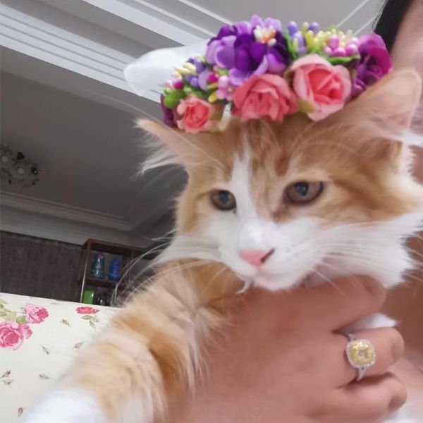 

cat costumes handmade flower fairy headdress pet wreath hair accessories dog collar supplies christmas