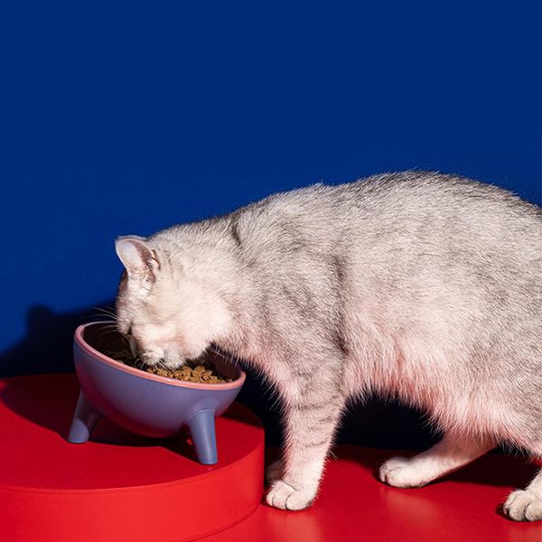 

cat bowls & feeders 15Â° tilt pet bowl with stand for storage of raised non-slip neck guard eating small dogs supplies