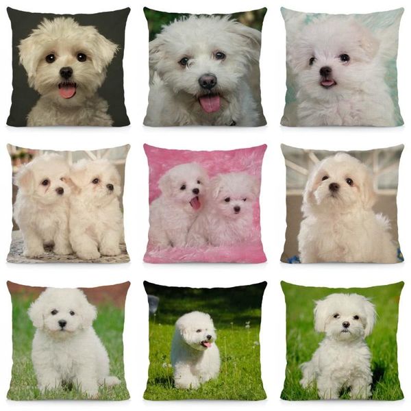 

cushion cover 45x45cm bichon frise pillow case dog pattern sofa car chair decor dwg046 cushion/decorative