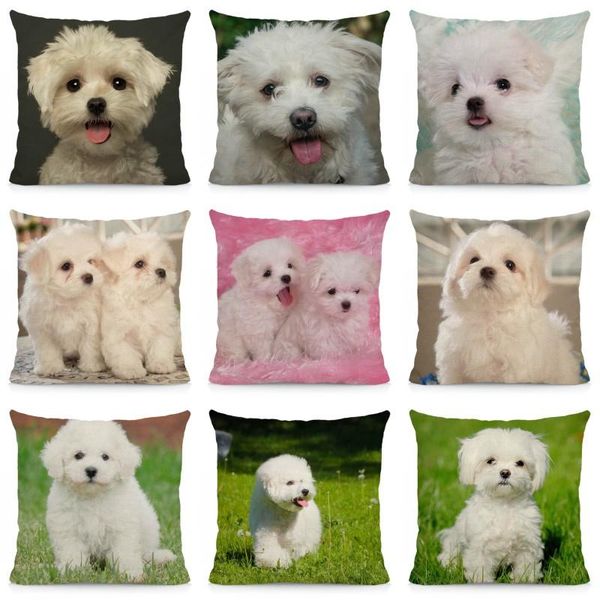 Tampa de almofada 45x45cm Bichon Frise Proassh Caso Pattern Sofá Decor de cadeira de carro DWG046 Cushion/decorativo