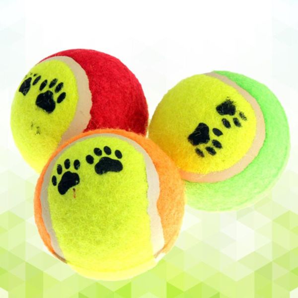 

pet dog chew toys tennis balls funny cat kitten
