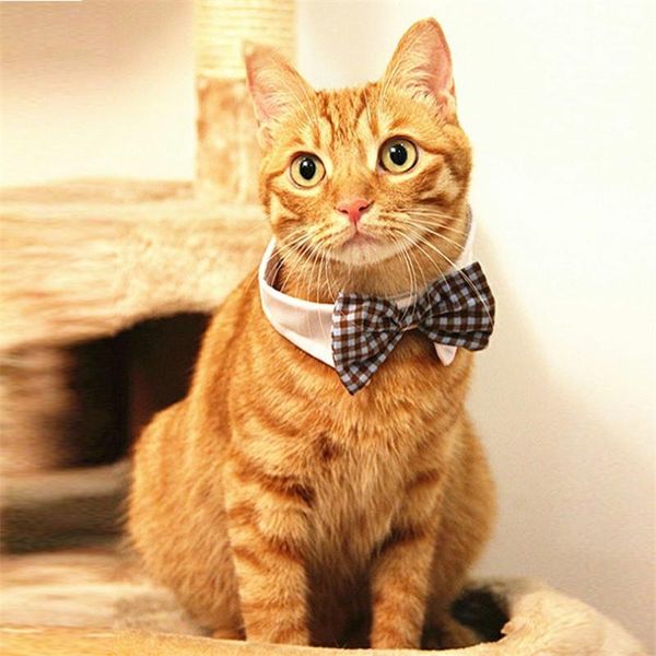 

dog collars & leashes cat collar cotton pet and tie general bow plaid lattice colorful soft funny commercial