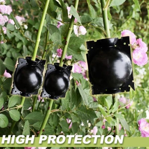 

vases high pressure branch box propagation grafting ball cutting mound