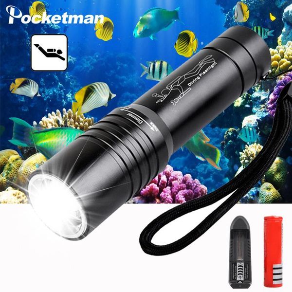 

lumen led torch scuba diving super bright 3 modes adjustable focus pocket underwater 100m flashlights torches