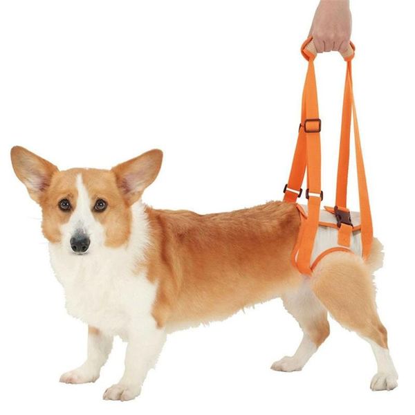

adjustable dog lift harness for back legs pet support sling help weak stand up pets old dogs vest leash aid assist tool collars & leashes