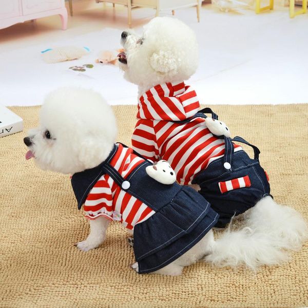 

dog apparel