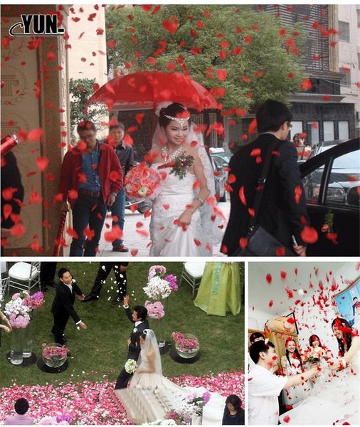 

artificial rose petals colorful wedding romantic silk flower for decoration supplies100/1000/2000 pcs 8d decorative flowers & wreaths