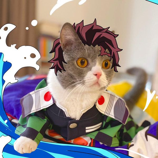 

cat costumes demon slayer for dog cosplay to character
