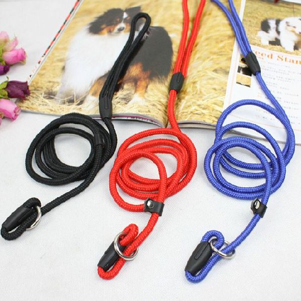 

nylon dog training leash dogs p chain slip collar walking leads rope m for small medium breeds chihuahua teddy collars & leashes