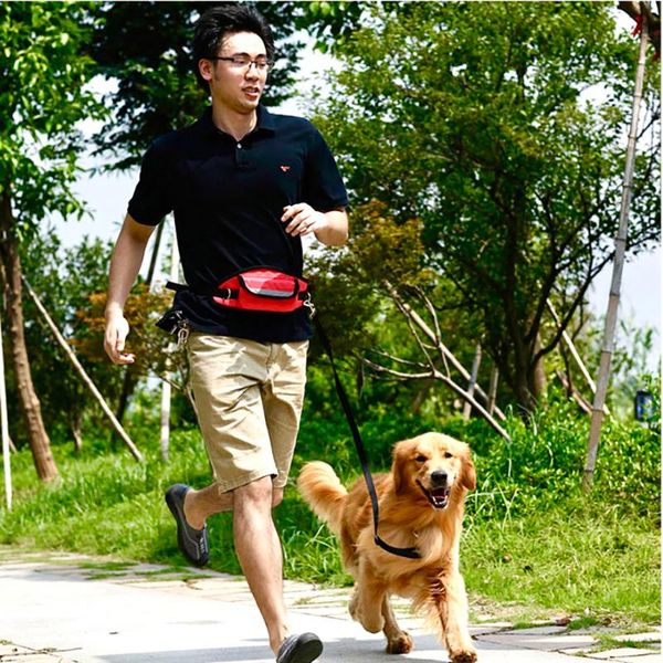

dog collars & leashes pet cat running jogging padded waist belt tailup reflective strip elastic leash walking training set hands free