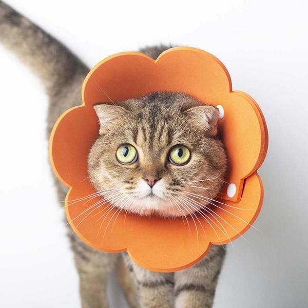 

cat collars & leads s/m/l pet protective for small dog wound healing protection anti-bite neck cone recovery