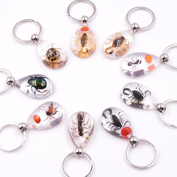

keychains transparent insect keychain real specimen party gift pendant, Silver