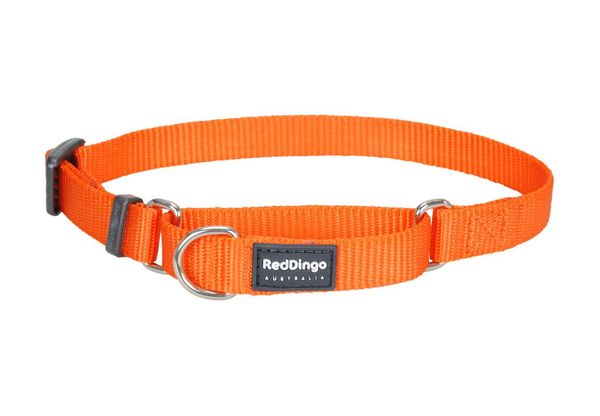 

dog collars & leashes 2021 12mm/15mm/20mm/25mm sleeve neck strap pure color three d rings only collar, no leash