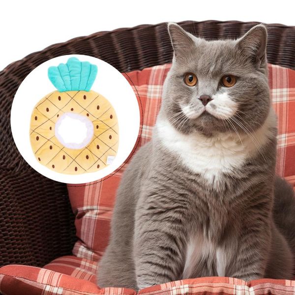 

cat collars & leads adjustable recovery collar lovely pineapple neck cone after