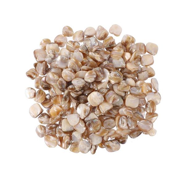 

novelty items 1 bag diy natural shells necklace earring accessories jewelry making