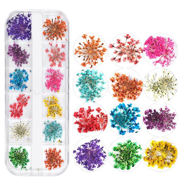 Mix Flores secas Decorações De Prego Jóias Natural Folha Floral Adesivos 3D Nails Art Designs Polonês Manicure Acessórios