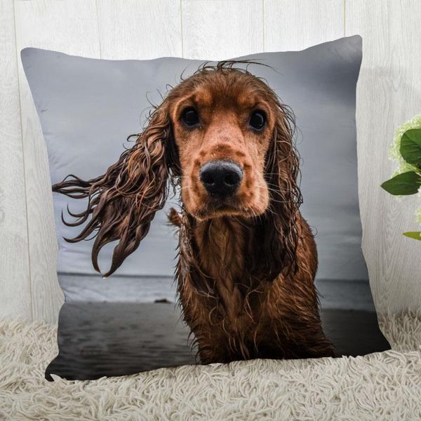 

pillow case spaniel animals cover customize pillowcase modern home decorative for living room 45x45cm,40x40cm a2021.4.29