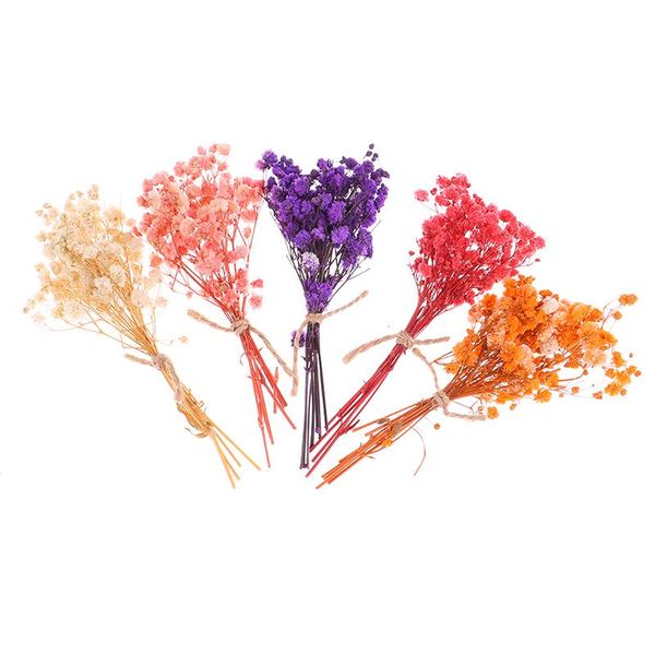 

natural dried flower embossing botany specimen diy candle po frame activity material pography props art craft decorative flowers & wreaths