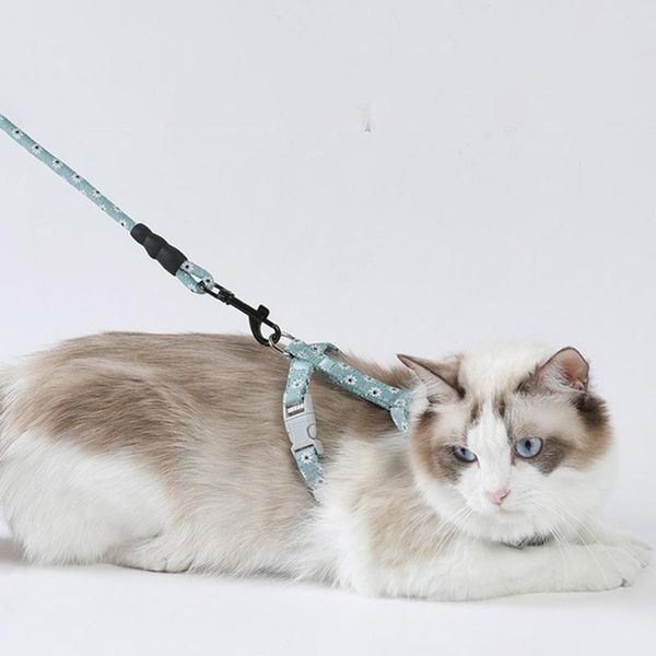 

cat collars & leads adjustable leash puppy walking chest strap practical durable pet traction rope muilti-color kitten outdoor tool