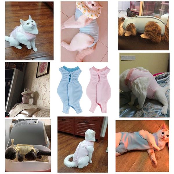

cat costumes recovery suit breathable professional pet kitten shirt for abdominal wound pink/sky-blue s/m/l clothes