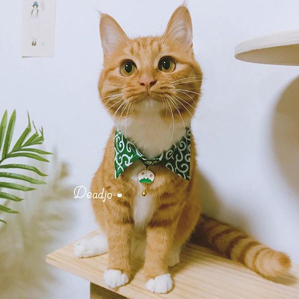

cat collars & leads pet bow tie neck decoration super cute puppy collar po toy supplies