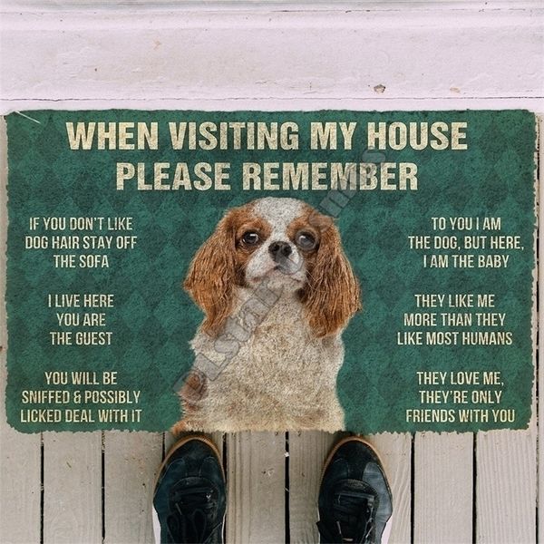 Por favor, lembre-se por favor Cavalier King Charles Spaniel Cães Casa Capacitação Indoor Sem Slip Door Tapetes Decoração Porch 220301
