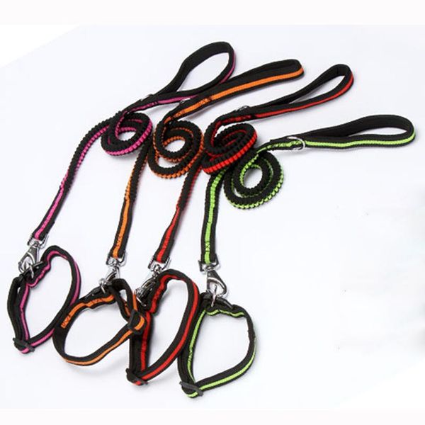 

dog collars & leashes 2021 polyester flexible leash chest straps for cat daily walking red blue green s-xl