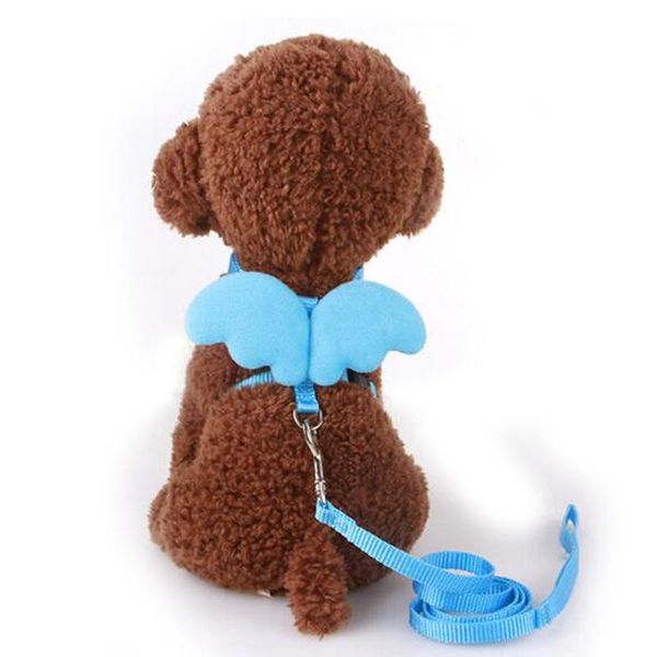 

dog collars & leashes pet leash little angel chest strap wings set cat harness milk small rope for mini dogs puppy teddy supplies