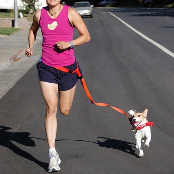 

dog collars & leashes pet leash 7 colors 140cm nylon running and walking lead for small medium large dogs