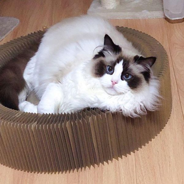 

cat beds & furniture corrugated cardboard scratcher lounge bed sofa couch with catnip for kitten