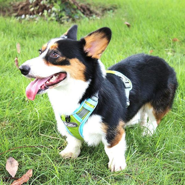 

dog collars & leashes pet nylon hauling belt leash walking chest harness supplies