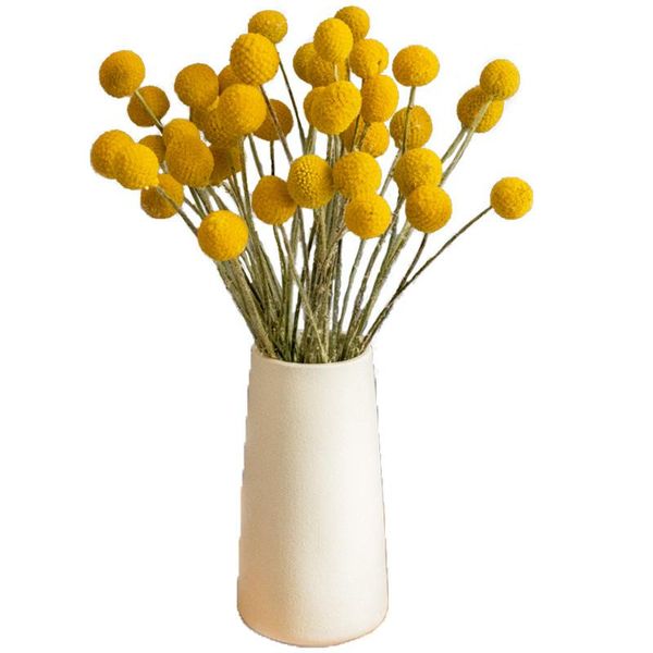 

30pcs dried yellow billy balls decor christmas wreath diy flowers for wedding bouquet decorative & wreaths