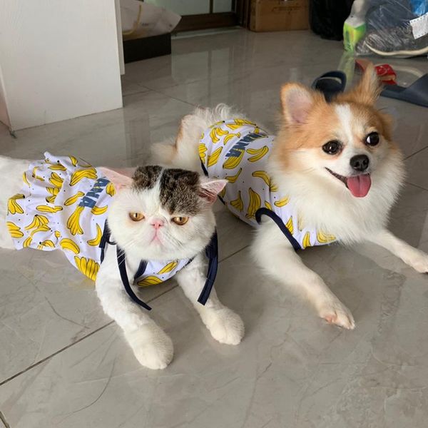 

cat costumes sweet dog couples vest and skirt autumn summer pet costume for cats pets dresses garfield katten dress puppy clothes