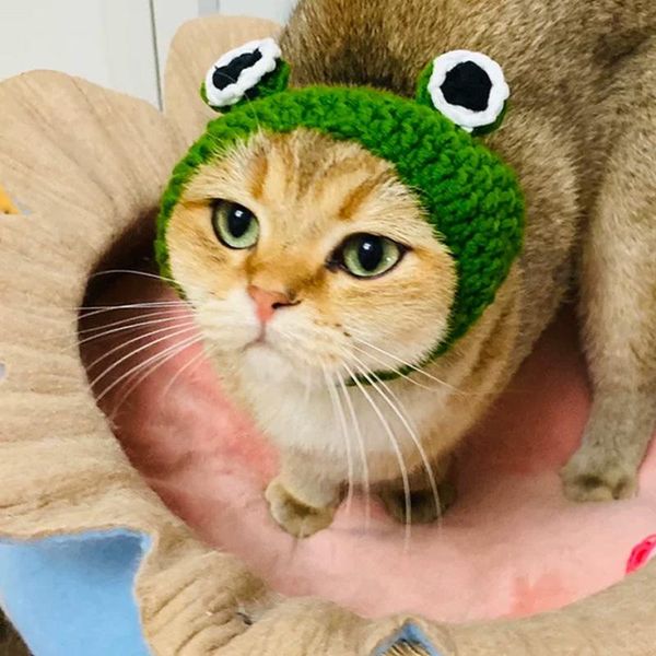

cat supplies headdress dog ears autumn and winter knitted small milk cartoon pet wool cute hat apparel