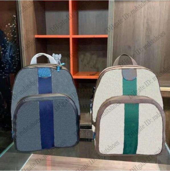 

mens ophidia super medium backpack brown coated canvas leather mans multi fabric web detail backpacks beige/ebony with antique gold-tone big