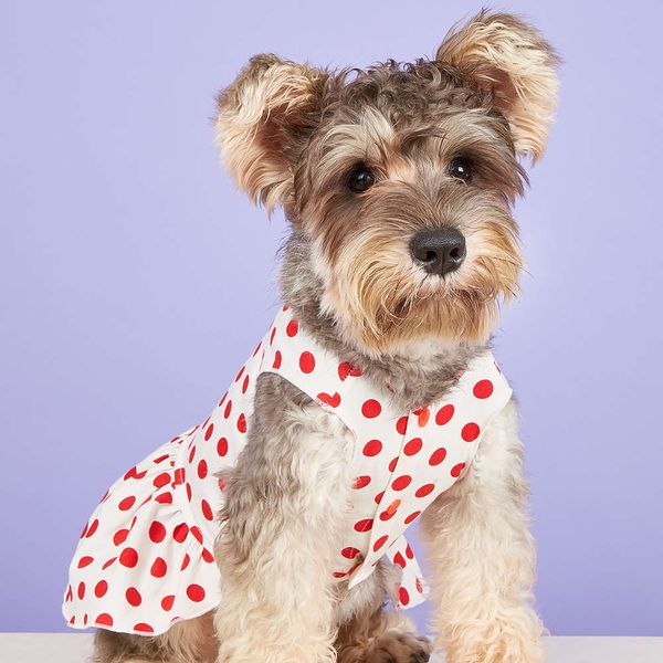 

dog apparel summer pet dress wave point skirt lovely casual loose dog princess