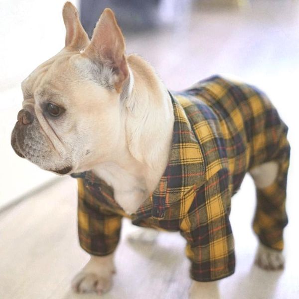 

[mpk dog shirt] bus driver shirts for french bulldogs in 2 colors apparel