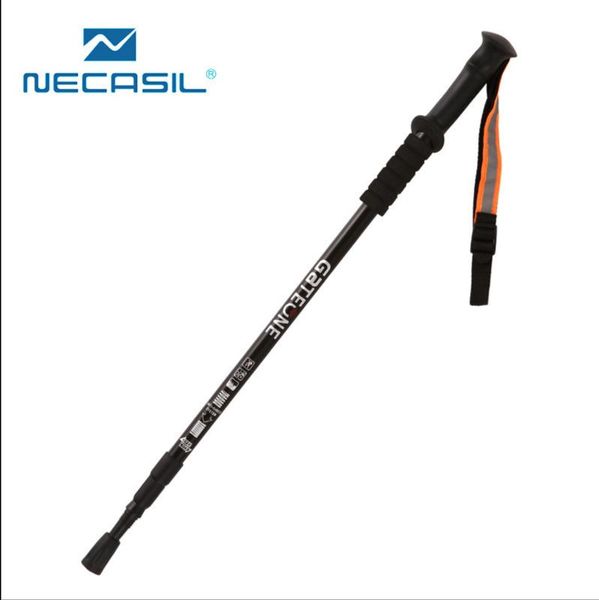 

trekking poles castle cane