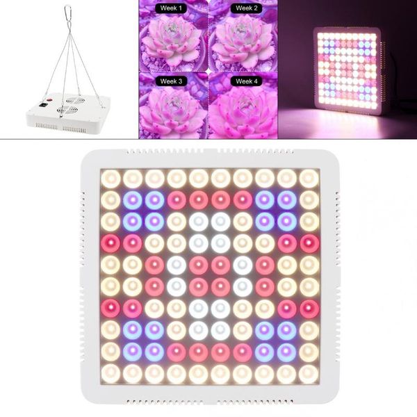 

grow lights 300w led light full spectrum plant growth lamp weight for indoor flower tent seedling