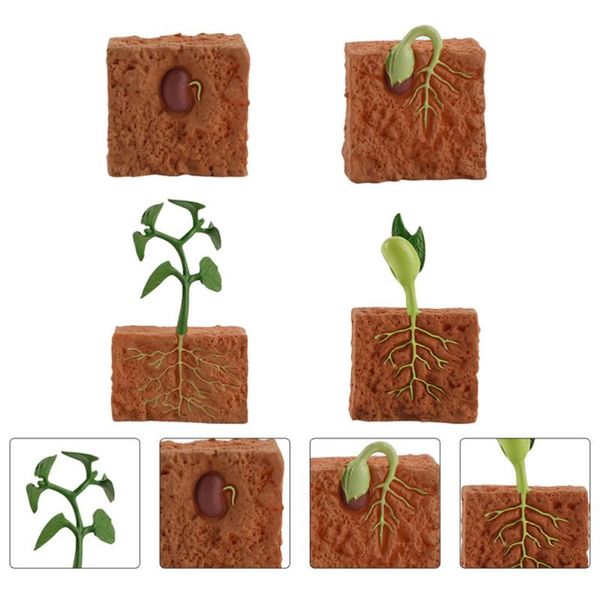 

set simulation plant seed life cycle educational grow lights