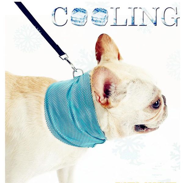 

dog collars & leashes pet summer cold neck scarf french cattle fight cat cool collar towel