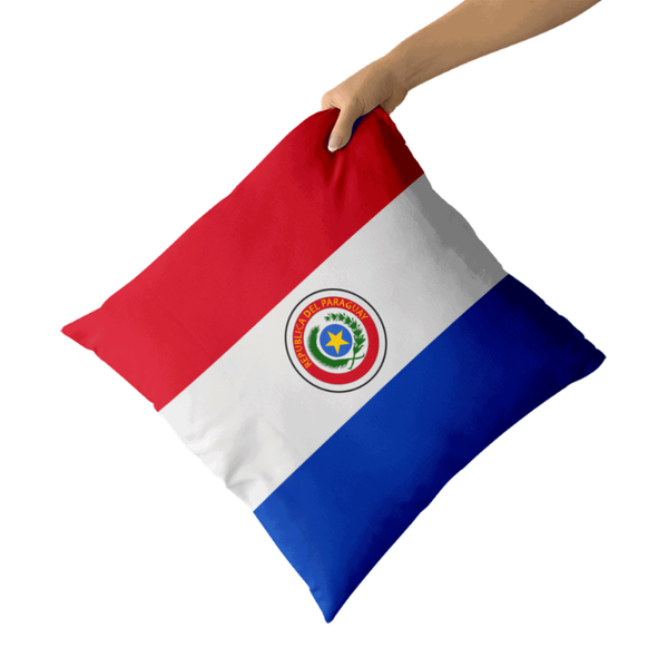 

paraguay throw pillow decorative cushion covers pillowcase cushions for sofa room canvas pillowcover home decor cushion/decorative