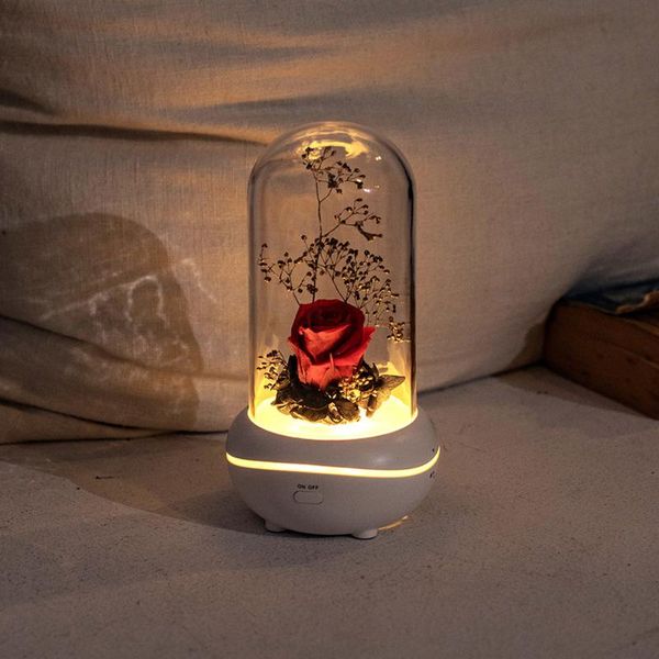 

decorative flowers & wreaths essential oil diffuser air fresher fogger portable creative preserved fragrance light colorful usb aroma for gi