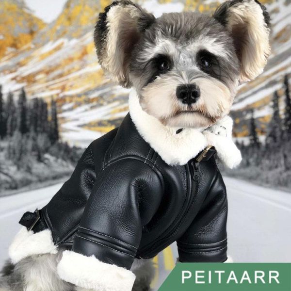 

dog apparel [peitaarr] pets clothes winter thick warmth luxury fur leather coat windproof outdoor collared up cold puppy small medium dogs