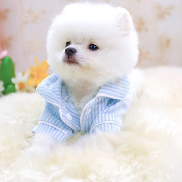 

dog apparel striped cotton and linen pajamas soft comfortable simple fashionable durable casual style clothes