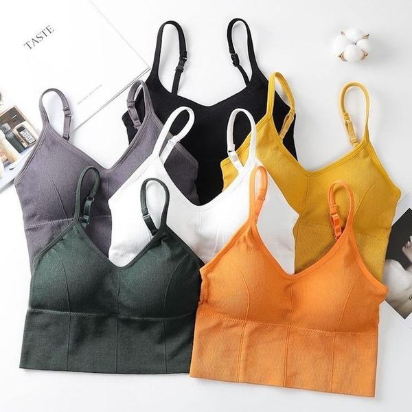 

cotton sports bras women push up solid bra jogging gym girl underwear fitness running yoga sport outfit